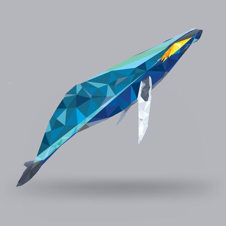 Whale in geometric low polygon styleのイラスト素材
