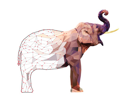Elephant Low poly multicolored,Geometric pattern designのイラスト素材