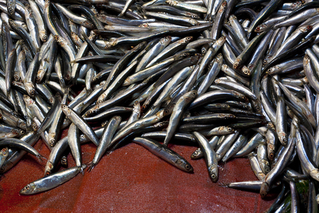 fresh smelt fish heap in a sea marketの写真素材
