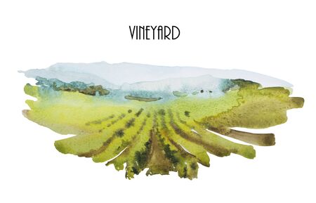 Watercolor landscape with green wineyards and blue mountains. Original backdrop illustration of vineyardsの写真素材