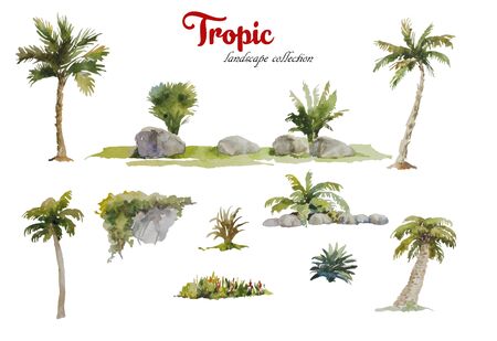 Set of watercolor palm trees , wild stones and tropical plants isolated on white background for landscape design , front viewの写真素材