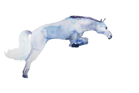 watercolor jumping white horse painted in blue colors, isolated on white backgroundの写真素材