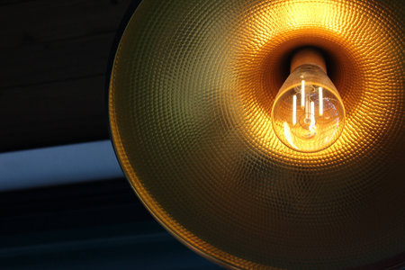 Warm colors when looking at the light to the color of gold.の写真素材