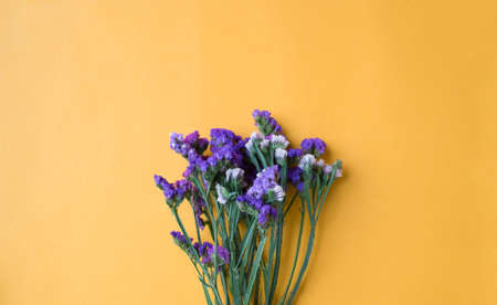 Statice flowers on yellow paper backgroundの写真素材