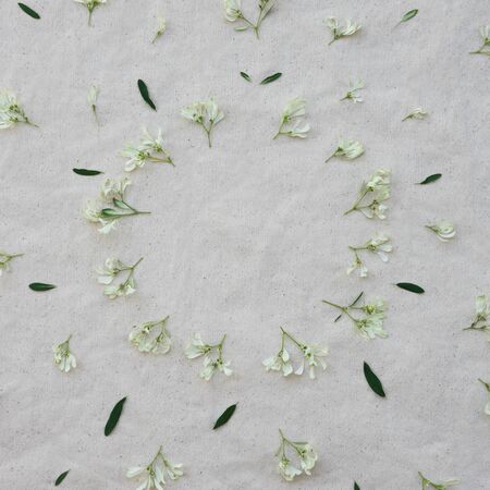 White Christmas flowers (white-laced euphorbia) and green leaves on white muslin fabric with round copy space from top viewの写真素材