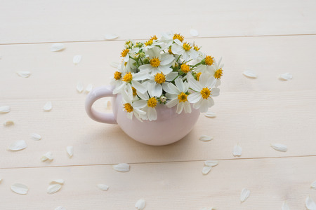 Bouquet of white Spanish needle flowers in pastel pink vase and white petals on light brown woodの写真素材