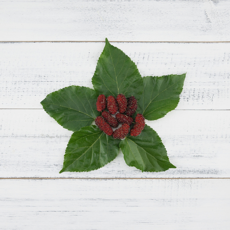 Mulberries and leaves on white wood background from top view