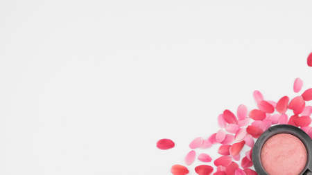 Pink blush on red and pink petals on white background with copy spaceの写真素材