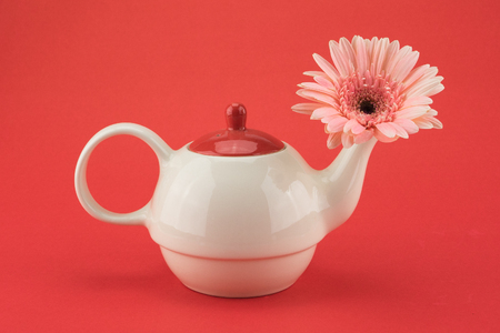 Pink Gebera flower in teapot on red backgrounの写真素材