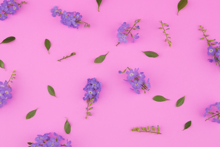 Purple flowers with branch and green leaves pattern on pink backgroundの写真素材
