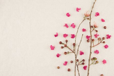 Pink crape myrtle petals with brown branches with copy spaceの写真素材