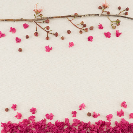 Pink crape myrtle flowers with branch and falling petals on the groundの写真素材