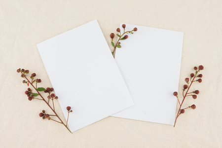 Two blank white cards decorated with budding flowers of crape myrtleの写真素材