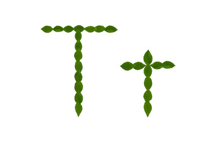 Letter T, alphabet made from green leaves isolated on white backgroundの写真素材