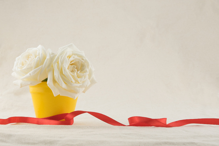 White roses in yellow pot decorated with red ribbon with copy spaceの写真素材