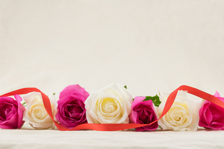 Pink and white roses from side view decorated with red ribbon with copy spaceの写真素材