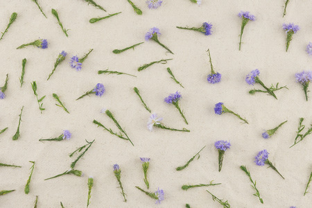 Purple cutter flowers pattern on white muslin fabricの写真素材