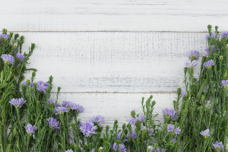Purple cutter flowers with green branches on white wood background with copy spaceの写真素材