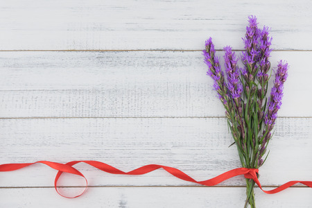 Violet liatris flowers with red ribbon on white wood background with copy spaceの写真素材