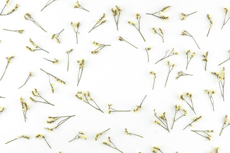 Round wreath made from yellow limonium caspia flowers on white background with copy spaceの写真素材