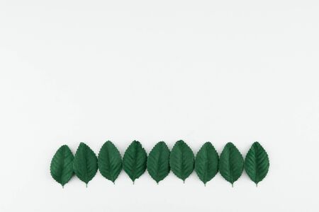 Green paper leaves on white background with copy spaceの写真素材