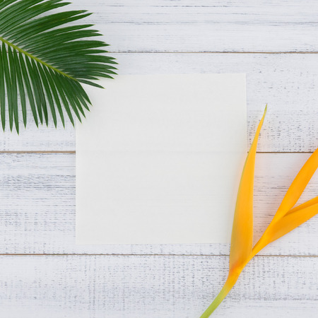 Blank white card with fern leaves and bird of paradise flowers on white wood background with copy spaceの写真素材