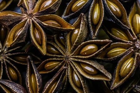 Anise star. Anise star spice close up top view background.の写真素材