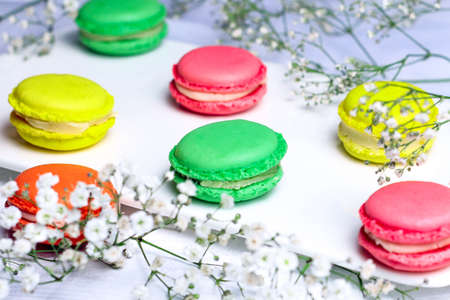 Macaroons. French dessert cookies and flowers on white ceramic plate.