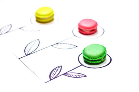 Colorful macaroon flowers. Sweet flowers concept. French cake macarons and hand drawn flowers background.の写真素材