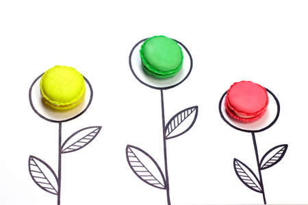 Creative flower trendy background. Colorful macaroons flowers.  French cake macarons and sketch drawing flowers on white background.の写真素材