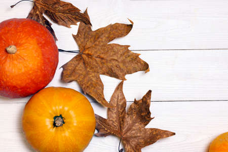 Pumpkins and yellow dray leaves top view on white wooden background. Autumn holiday decoration