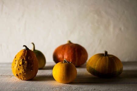 Pumpkins. Different sizes and shapes pumpkins on white rustic wooden background with deep shadows....