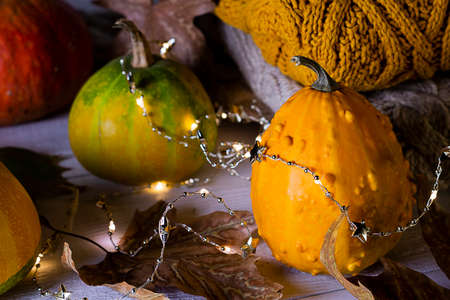 Autumn. Pumpkins, dray leaves and knitted sweaters decorated Christmas fairy string lights on white wooden background.の写真素材
