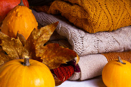 Autumn. Pumpkins, dray leaves and knitted sweaters decorated Christmas fairy string lights on white...