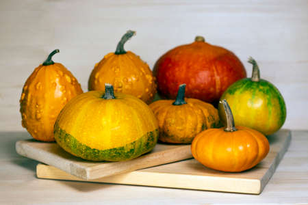 Pumpkins on rustic wooden planks. Composition with pumpkins. Autumn harvest concept.の写真素材