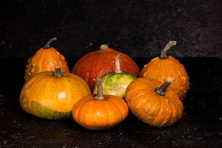Pumpkins on rustic dark background. Composition with pumpkins. Autumn harvest concept.の写真素材