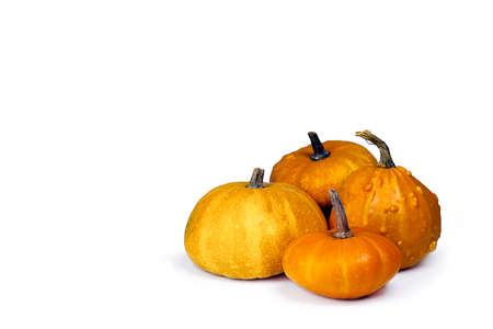 Pumpkins isolated on white background.  Different size and shape pumpkins.の写真素材