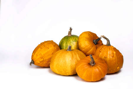 Pumpkins isolated on white background.  Different size and shape pumpkins.の写真素材