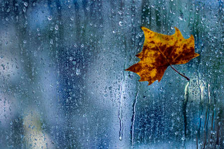 Raindrops on wet window glass. Melancholy and minor concept background.の写真素材