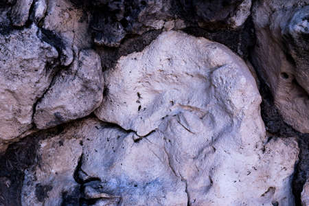 Porous volcanic stone background. Natural stone backdrop.の写真素材