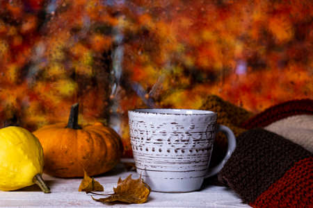 Cup with warm drink, pumpkins, yellow leaves and hand knitted blanket on white wooden board with blurred fall colors on background. Autumn comfort conceptの写真素材