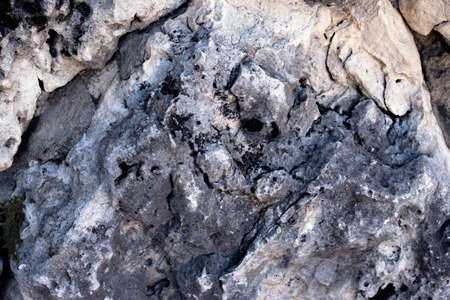 Porous volcanic stone background. Natural stone backdrop.の写真素材