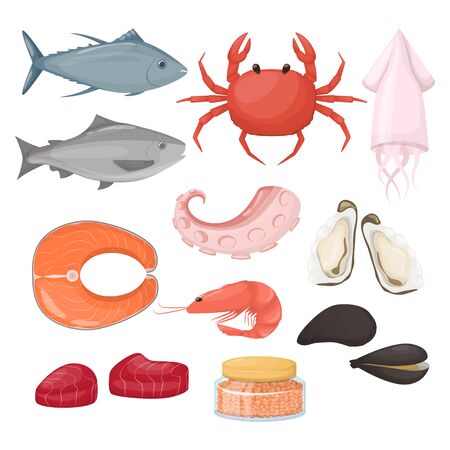 Set of fish and food sea product.のイラスト素材
