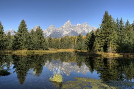 Schwabacher's Landingの写真素材