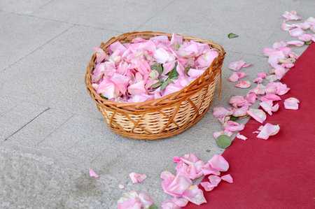 <p>Pink rose petals in a basket and scattered on the floor next to a red carpet</p>の写真素材