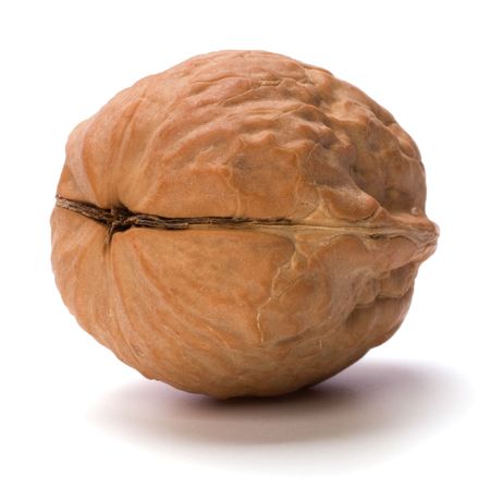 Circassian walnut isolated on white background