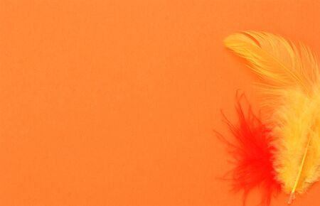 easter greeting cardの写真素材