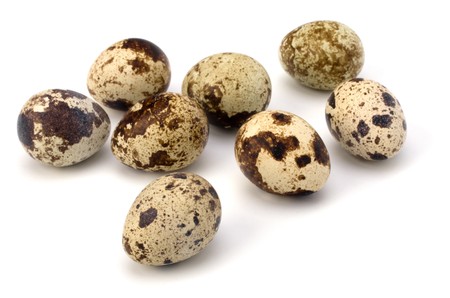 quail eggs isolated on white background close upの写真素材