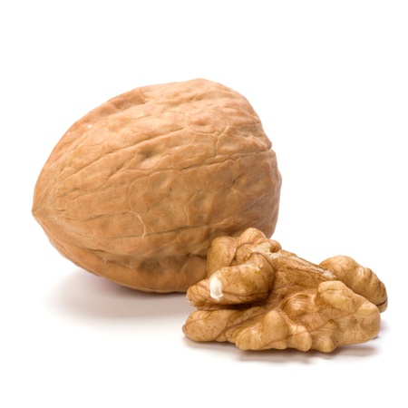 Circassian walnut isolated on white backgroundの写真素材