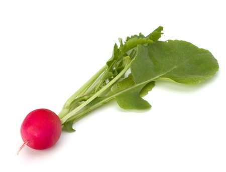 Small garden radish isolated on white backgroundの写真素材